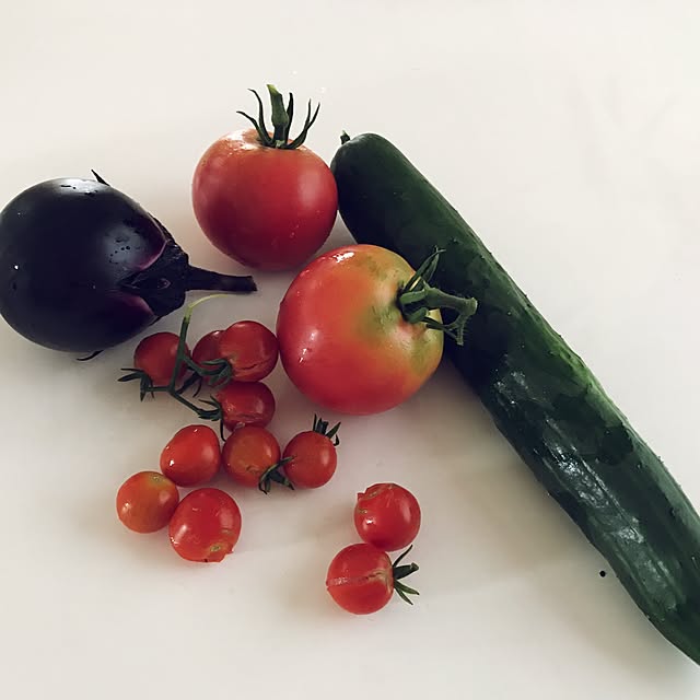todayさんの実例写真