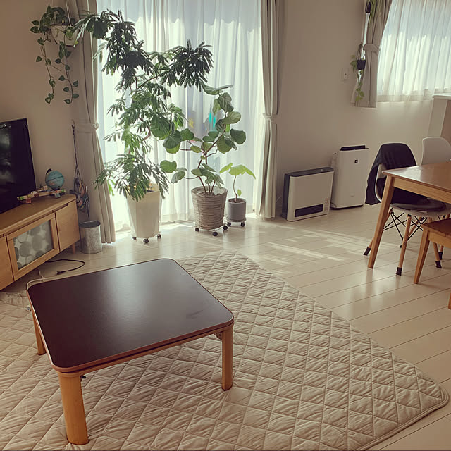 e-sukeさんの実例写真