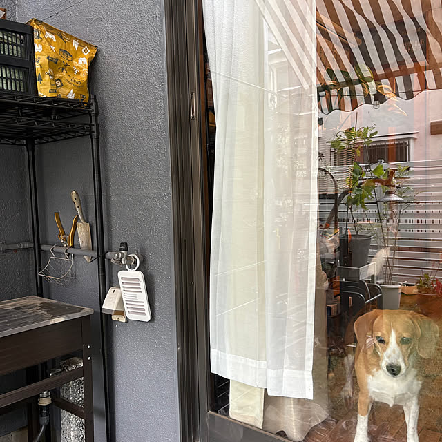 onokenkoさんの部屋