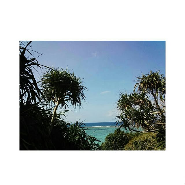 Okinawan-styleさんの実例写真