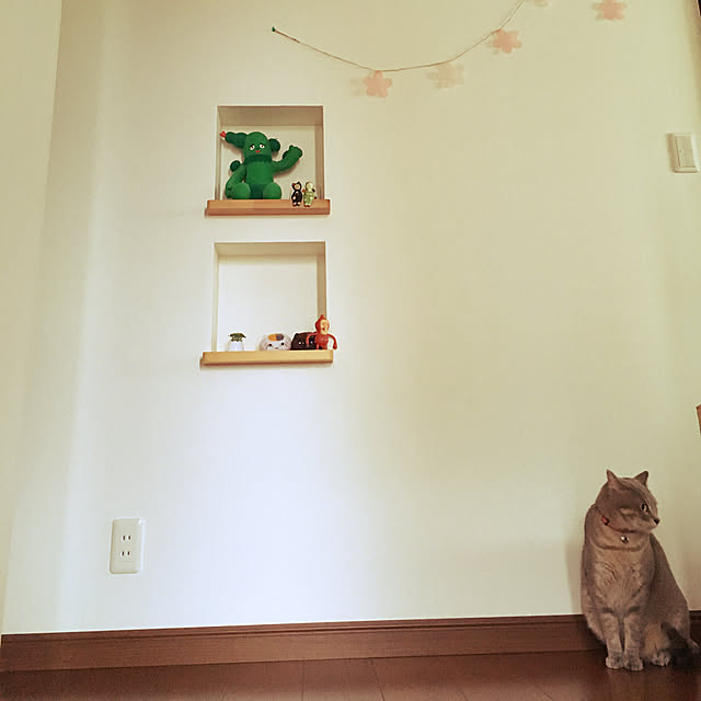 Nyanyaさんの実例写真