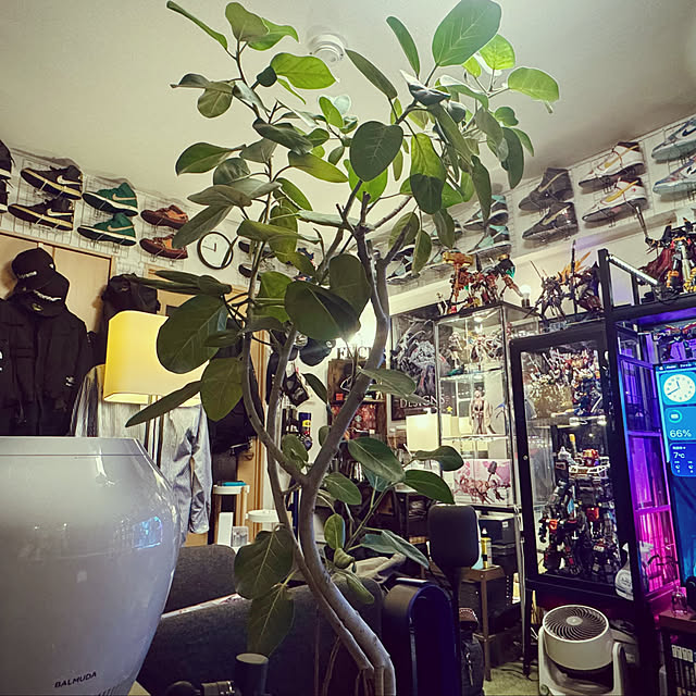 tundra-climateさんの実例写真