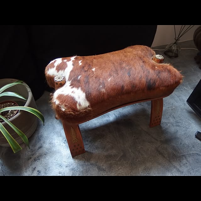 BENさんの実例写真