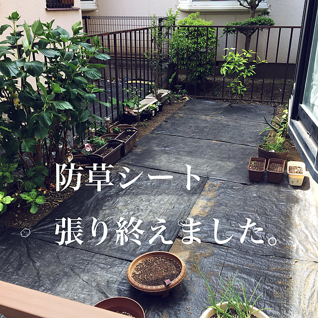 paru_kichiさんの実例写真