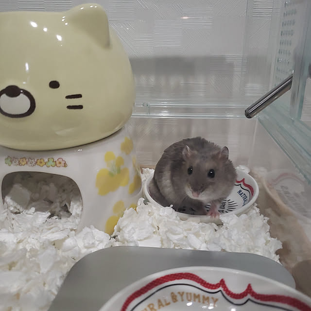 BAZさんの実例写真