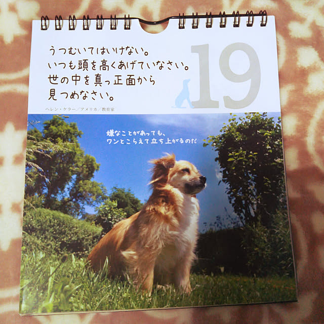 sakura_tukiyo_shさんの実例写真