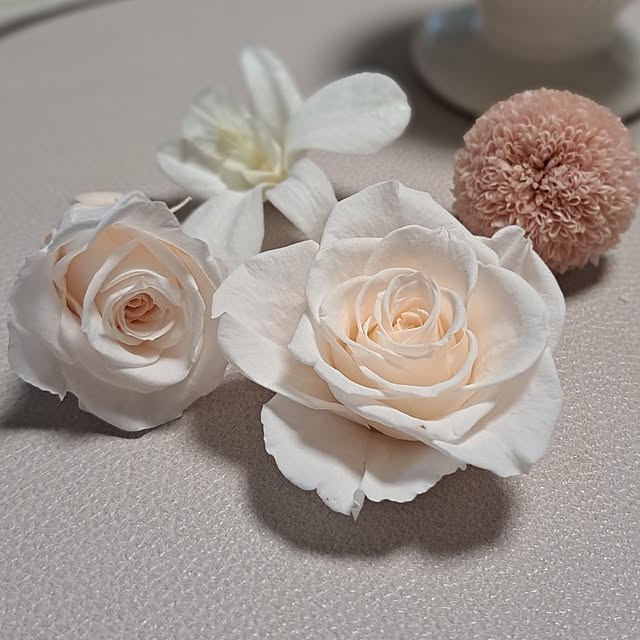 noaさんの部屋