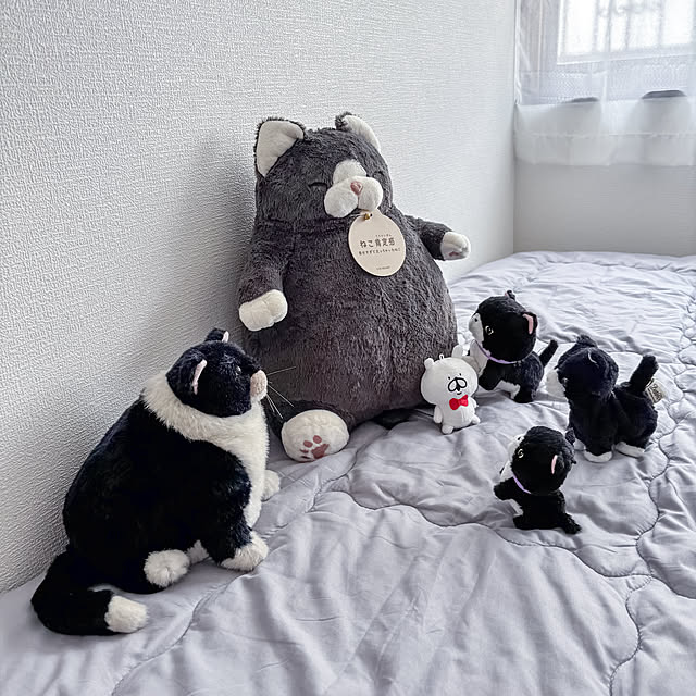 faunさんの実例写真