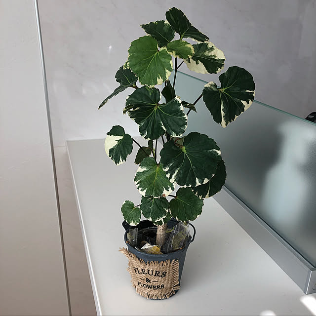 10homeさんの実例写真