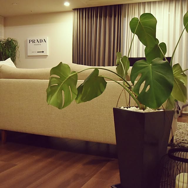 pomさんの実例写真