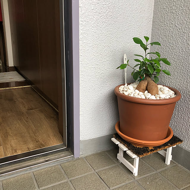 honpoさんの実例写真