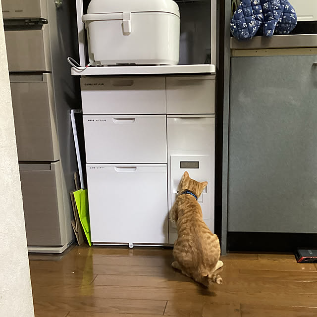 kirakirahoshiさんの実例写真