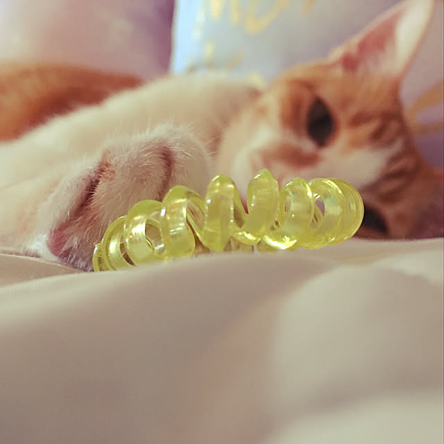 brbrnknkさんの実例写真
