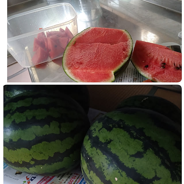 koromaroさんの実例写真