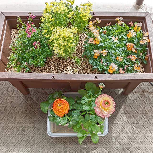 mi-saさんの部屋