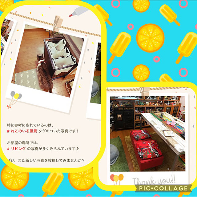 jijiさんの実例写真