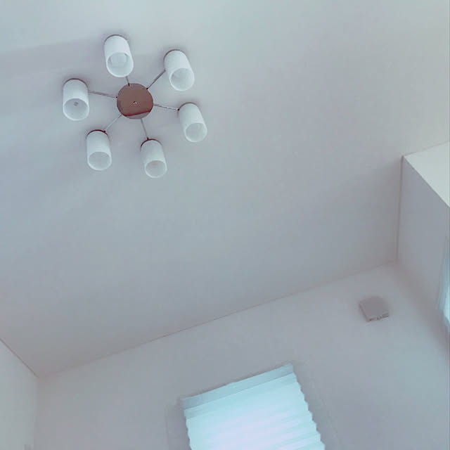 junaさんの実例写真