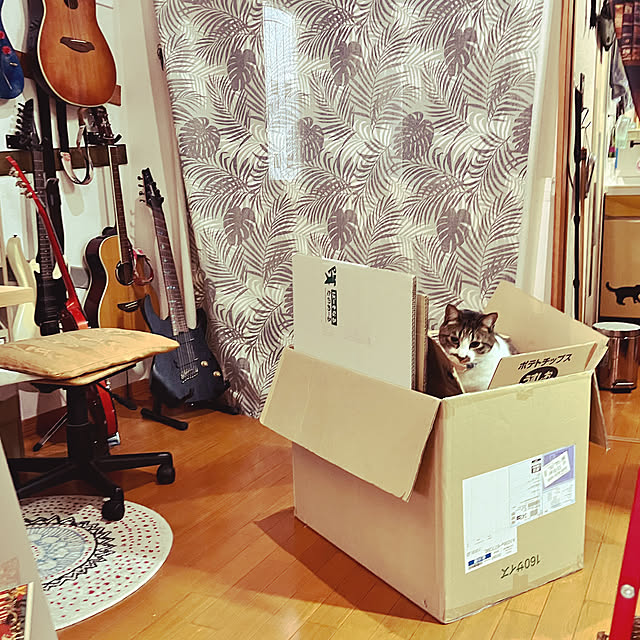jijiさんの実例写真