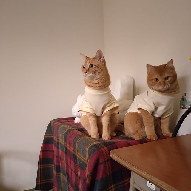 mayutan.さんの部屋