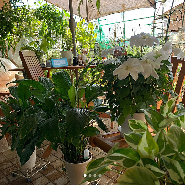 Aqettyさんの部屋
