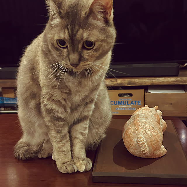 PU930さんの実例写真