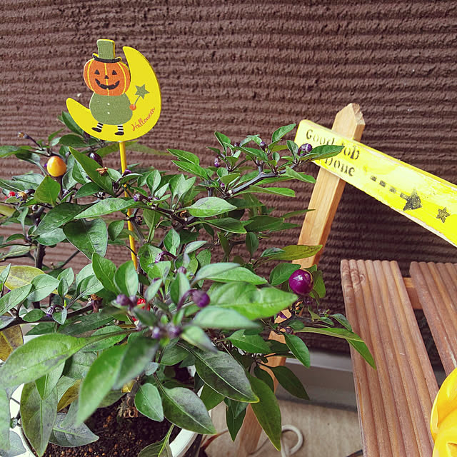 KOHAKUさんの実例写真