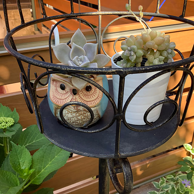 haruminさんの部屋
