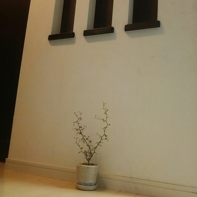 a_kさんの実例写真