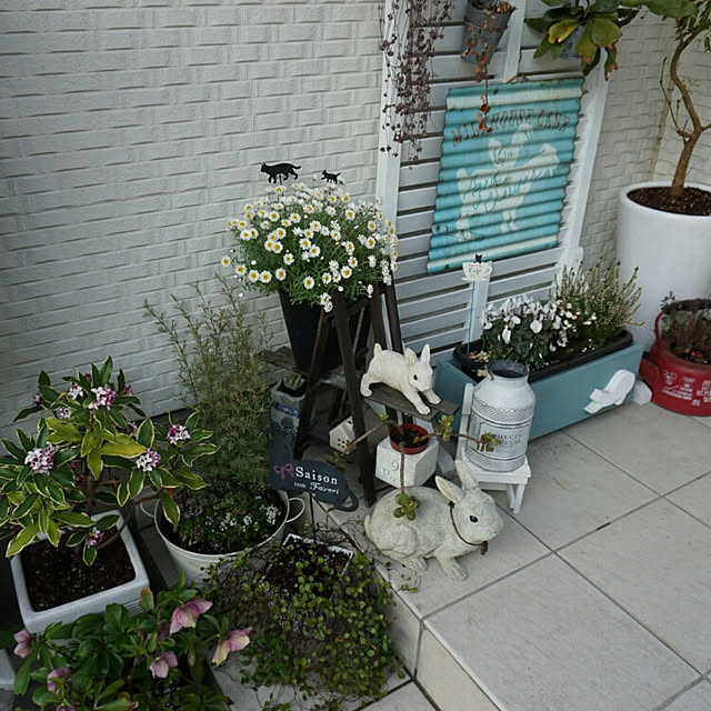 Gomaさんの実例写真