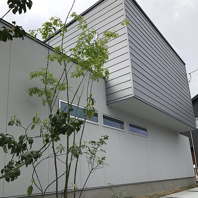 部屋全体のインテリア実例 - 2017-04-18 09:26:59