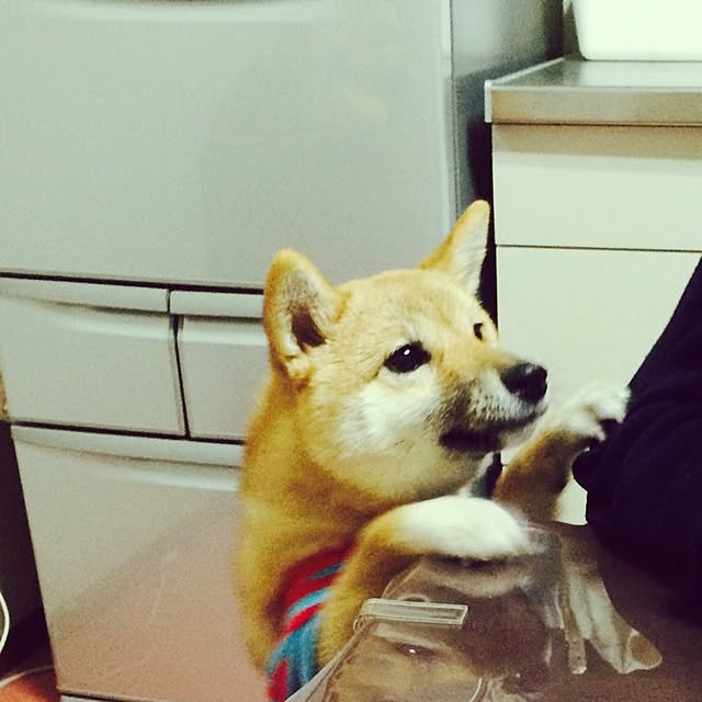 toi114さんの実例写真