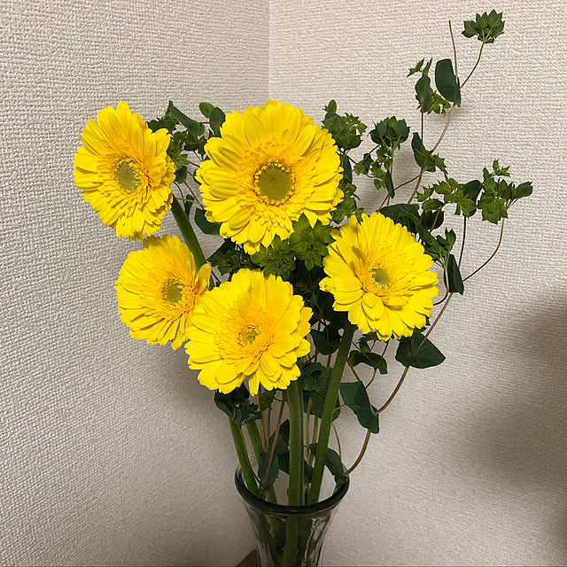 suzuさんの実例写真
