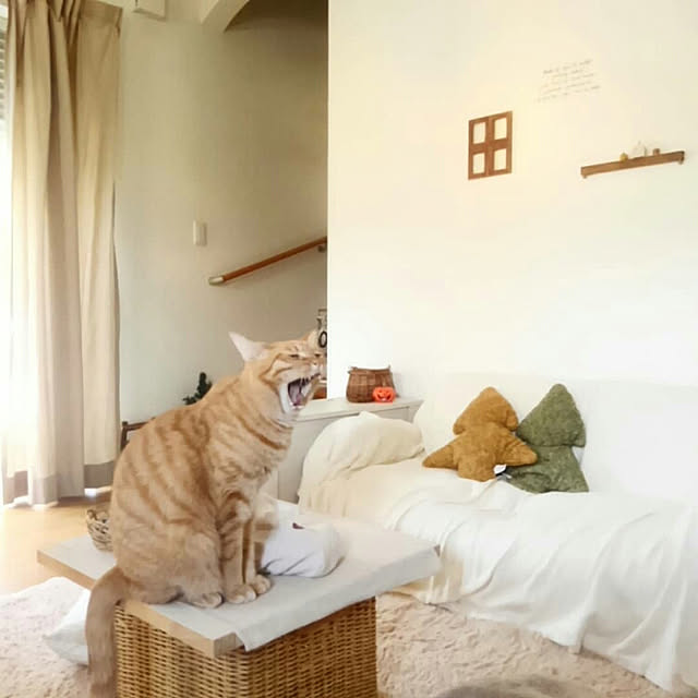 mayutan.さんの実例写真