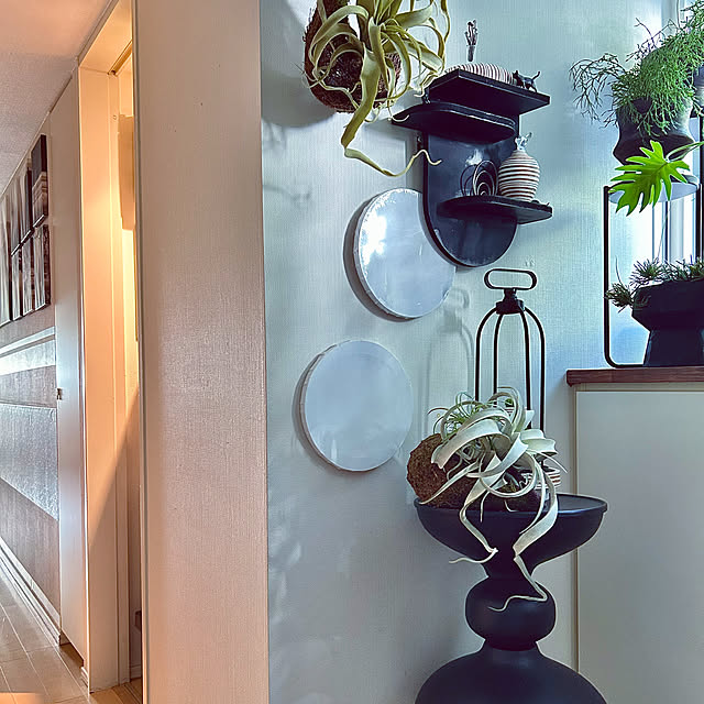 DAYONEさんの実例写真