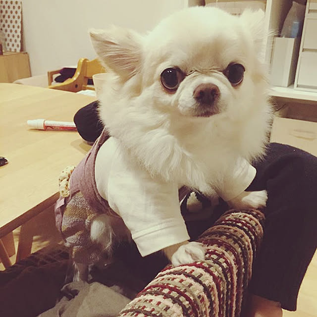 yojiさんの実例写真