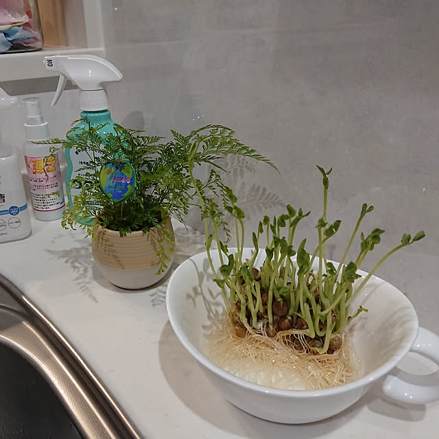 totoroさんの実例写真
