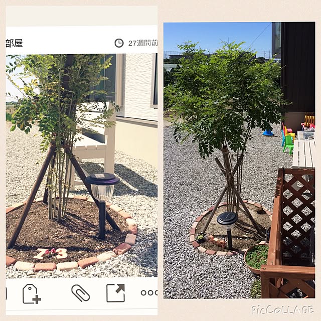 moriさんの実例写真