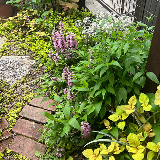 hinamamaさんの部屋