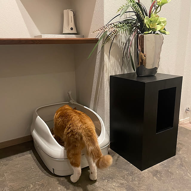 maimaiさんの部屋