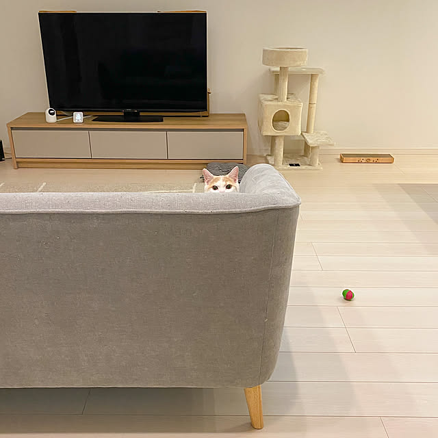 Tinaさんの実例写真