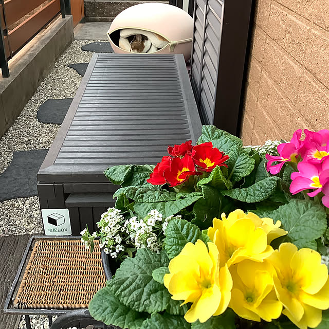 haruminさんの実例写真