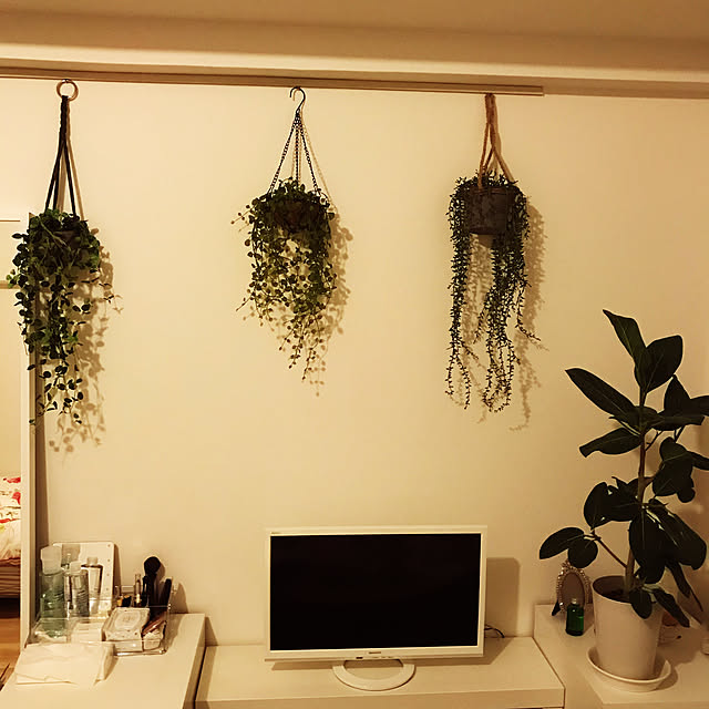 一人暮らし/観葉植物/IKEA/ニトリ/フェイクグリーン...などのインテリア実例 - 2020-01-09 21:28:18