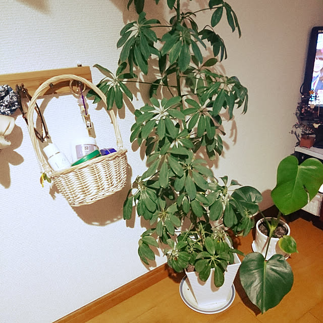 makaronさんの実例写真