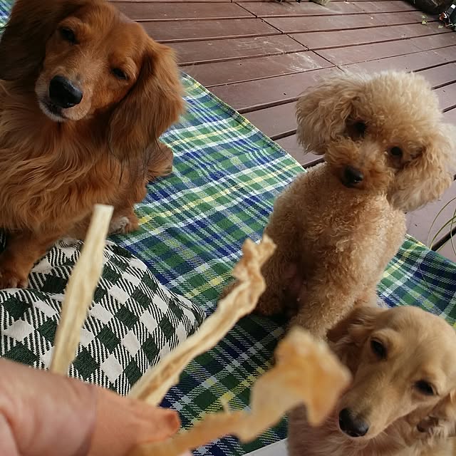 Nakakoさんの実例写真