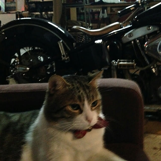 pontaseisakusyoさんの実例写真