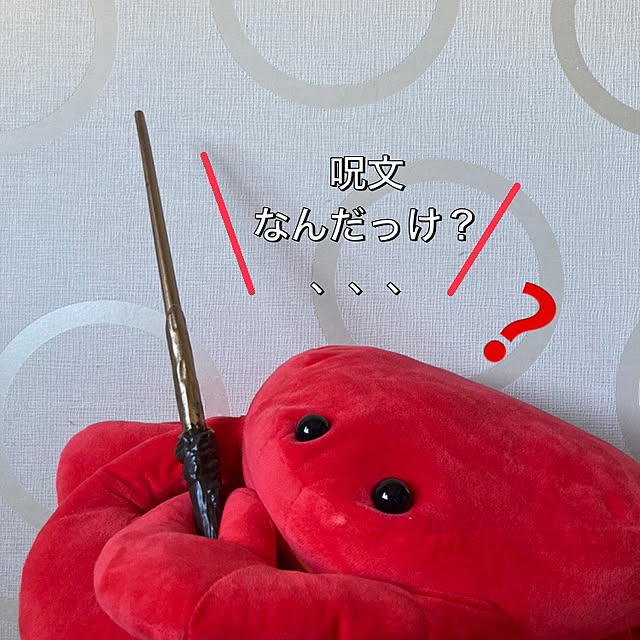 manduonmaさんの実例写真