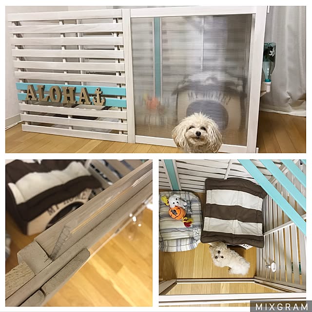 Feluzさんの実例写真