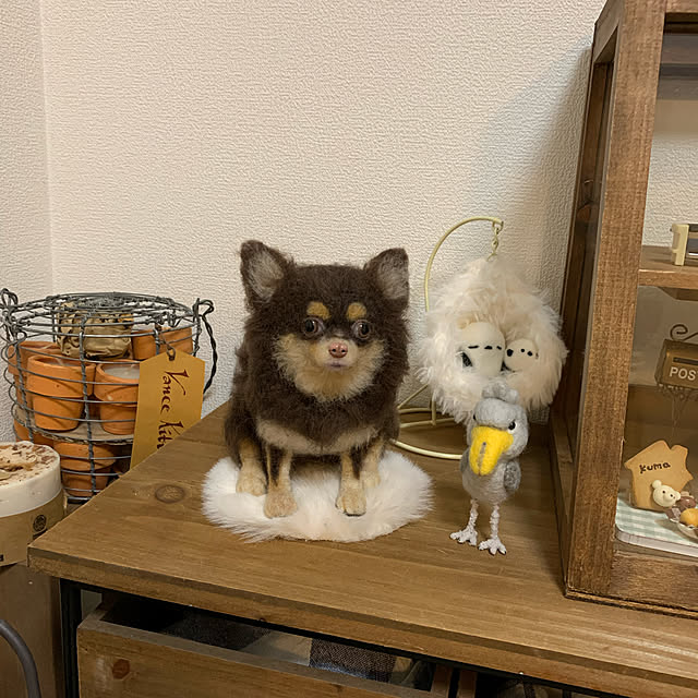 Ayaさんの実例写真