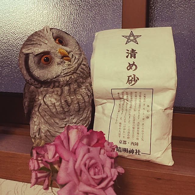 nonさんの実例写真