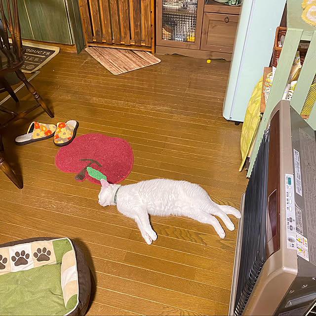 SHIHOさんの実例写真